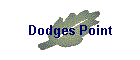 dodges point
